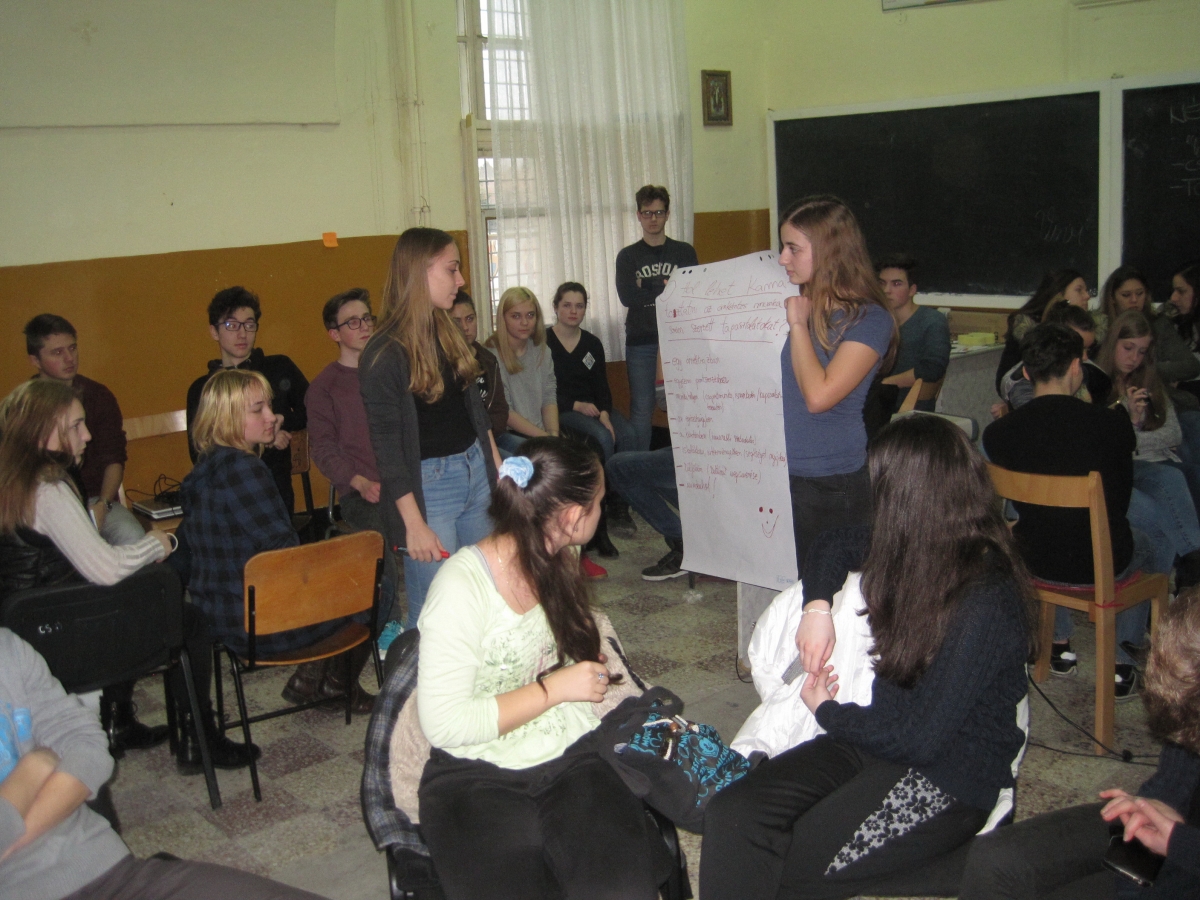 Despre voluntariat la Liceul Naţional M. Eminescu